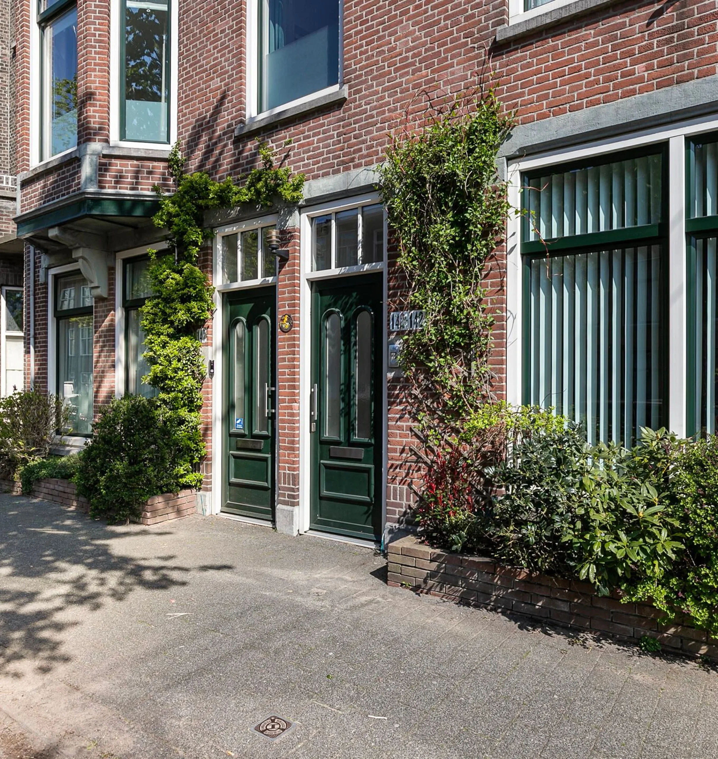 Nova Vita carasal img 2