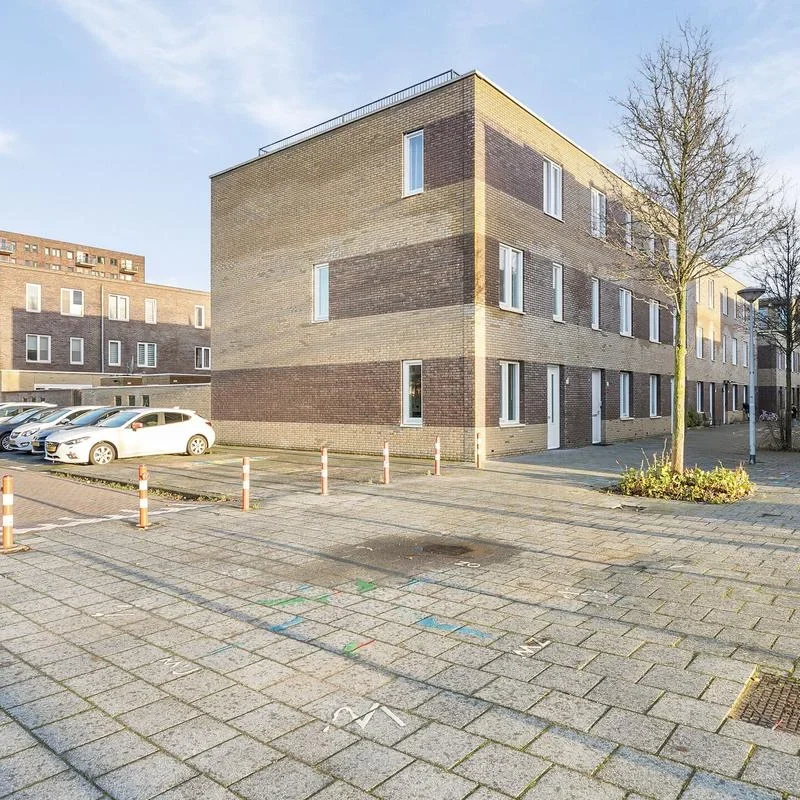 realworks-image-25457