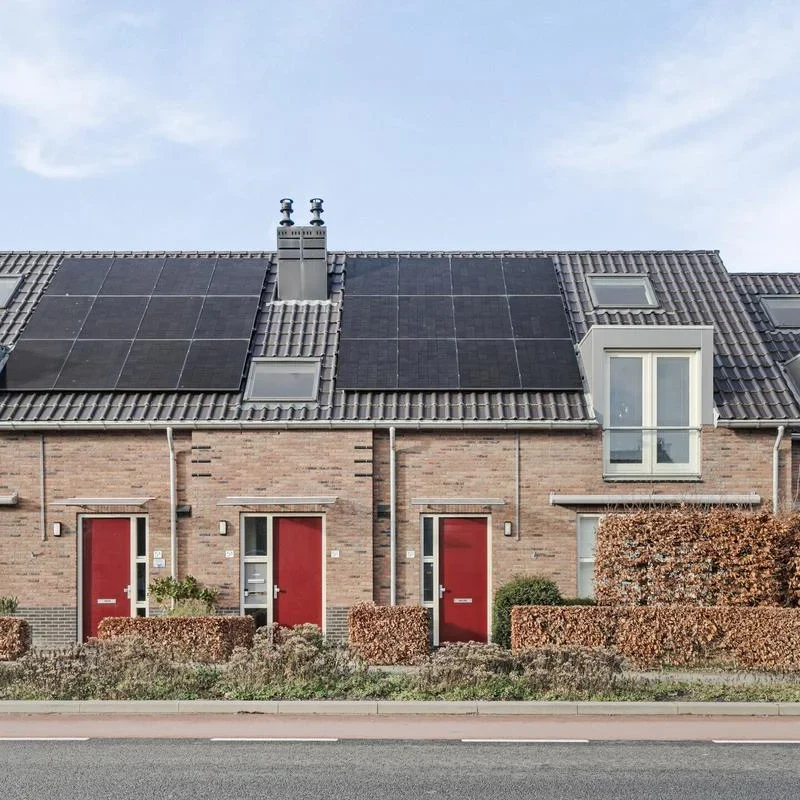 realworks-image-25461